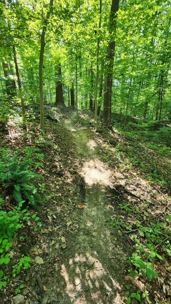 Rosaryville State Park