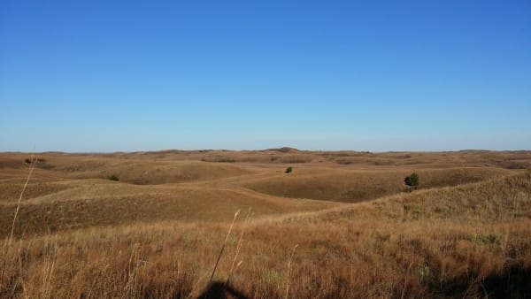 Samuel R. McKelvie National Forest
