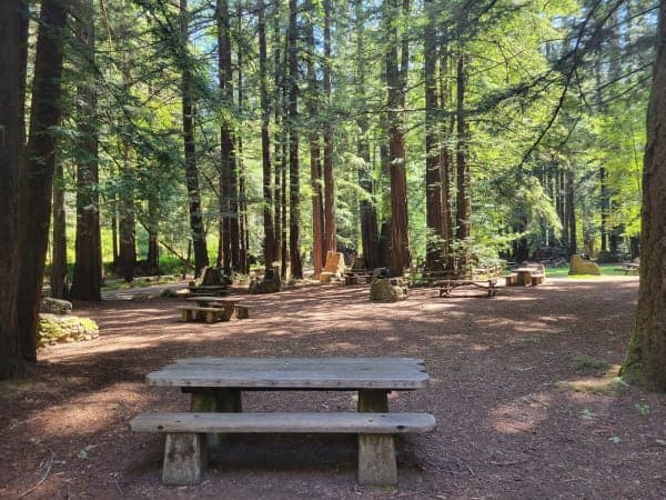 Samuel P. Taylor State Park