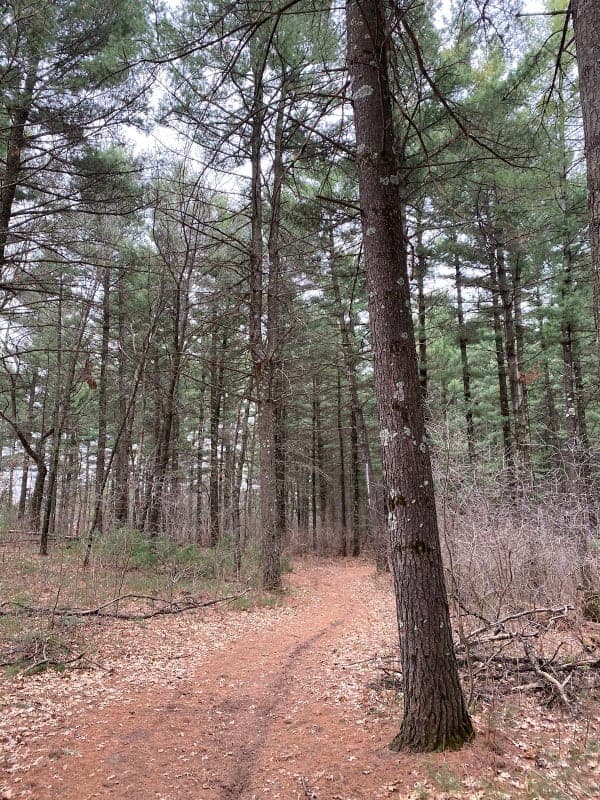 Sand Dunes State Forest / Bob Dunn Horse Campground