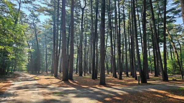 Sand Ridge State Forest