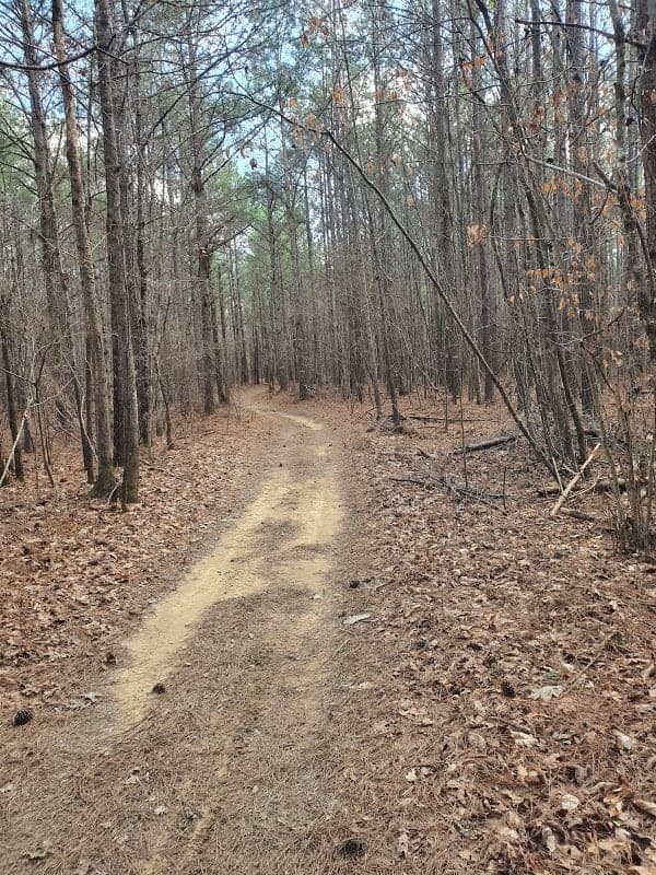 Sandstone Multiple-Use Trail