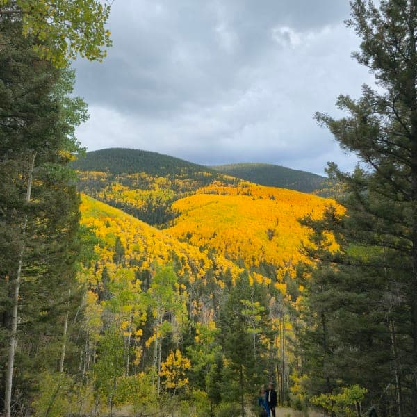 Santa Fe National Forest