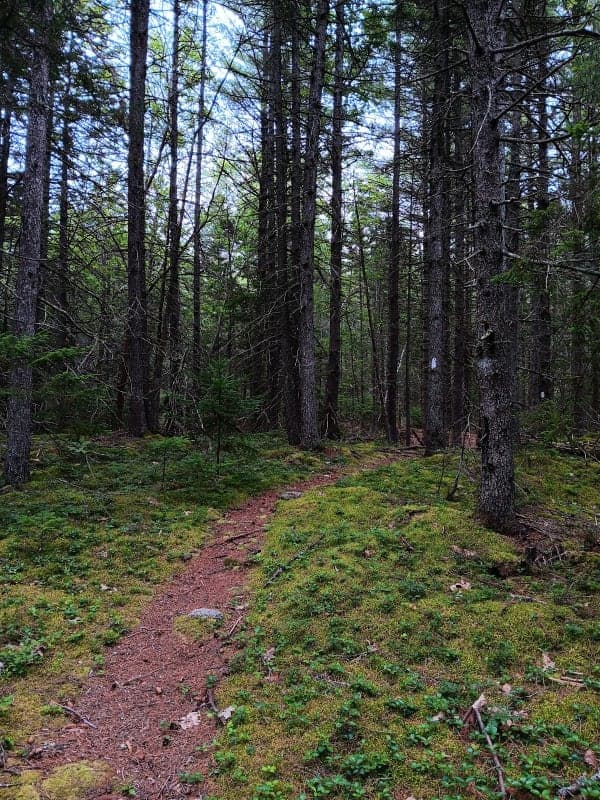 School House Pond Preserve