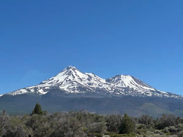 Shasta-Trinity National Forest