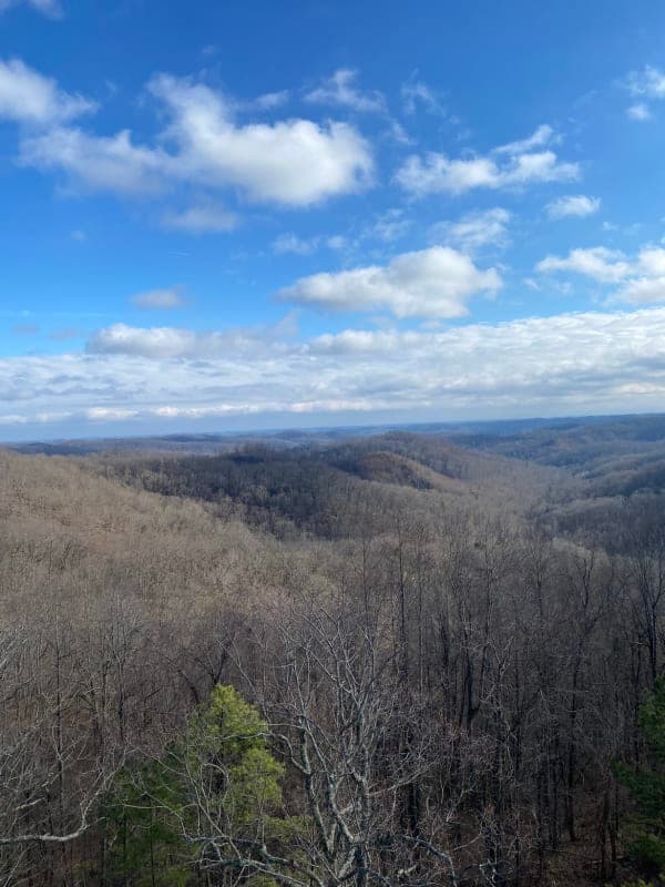 Shawnee State Forest