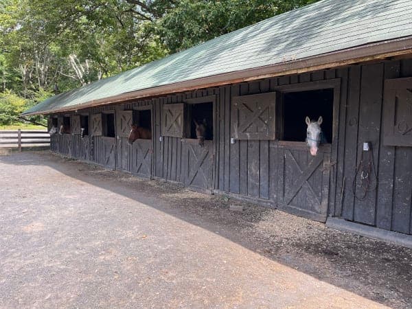 Shenandoah National Park / Skyland Stables