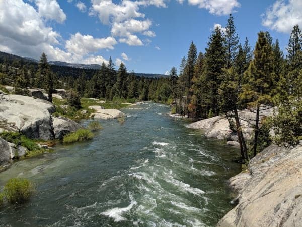 Sierra National Forest