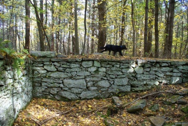 Sprague Farm