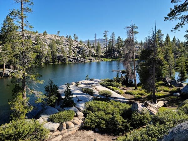 Stanislaus National Forest