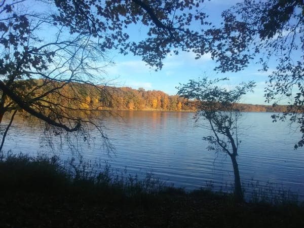 Stephen A. Forbes State Recreation Area