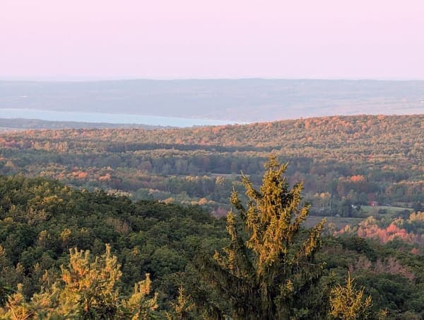 Sugar Hill State Forest