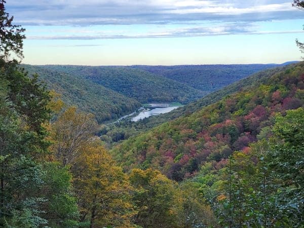 Susquehannock State Forest