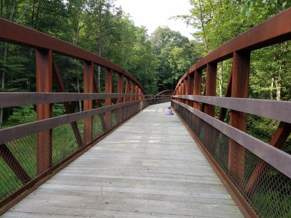 Swatara State Park