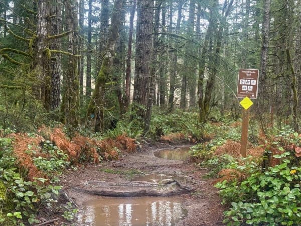 Tahuya River Horse Camp