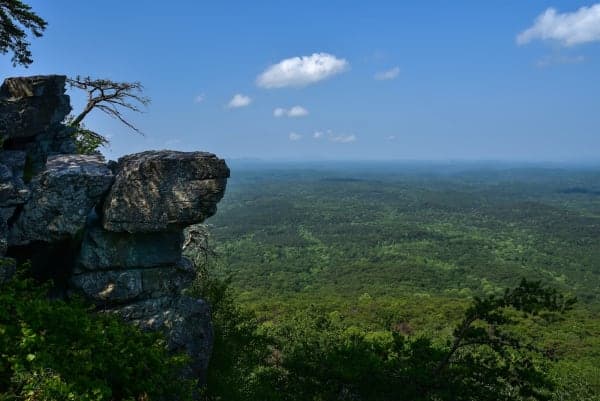 Talladega National Forest / Warden Station