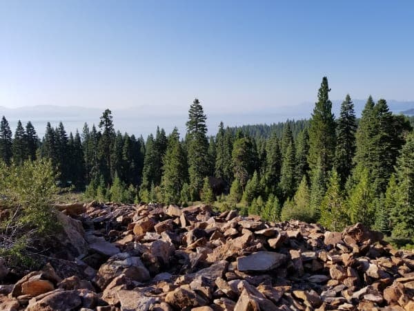 Tahoe National Forest