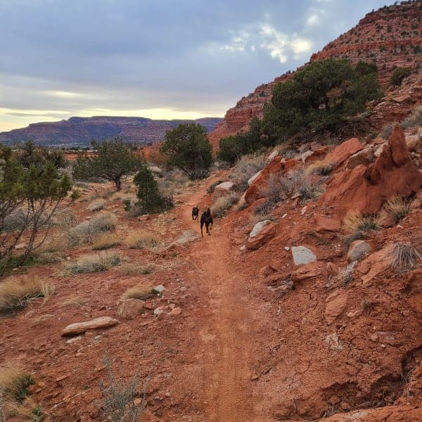 Tom's Canyon Trail