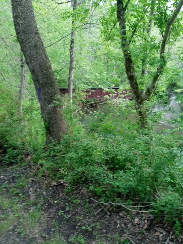 Torrey C. Brown Rail Trail