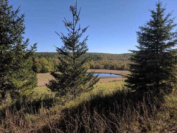 Turnpike State Forest