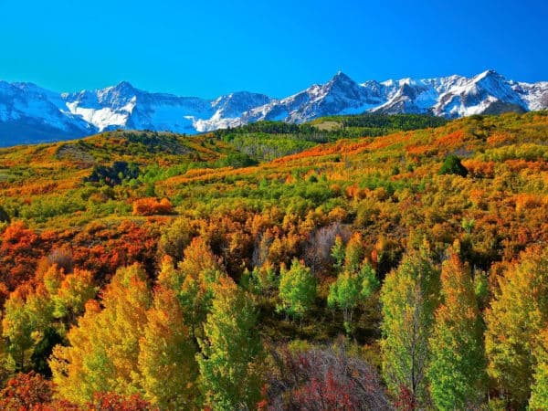 Uncompahgre National Forest