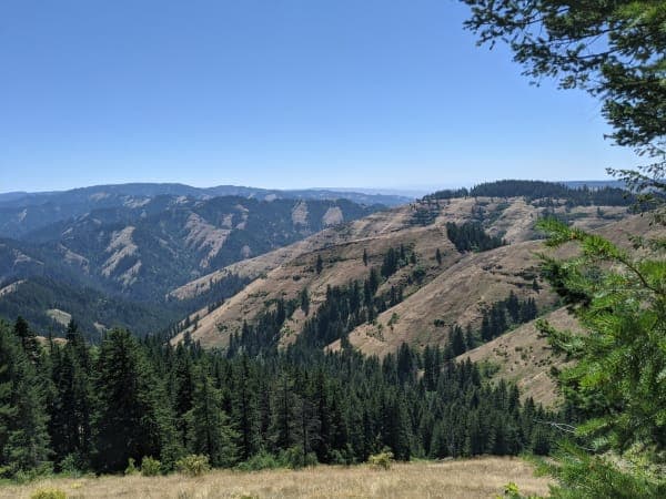 Umatilla National Forest
