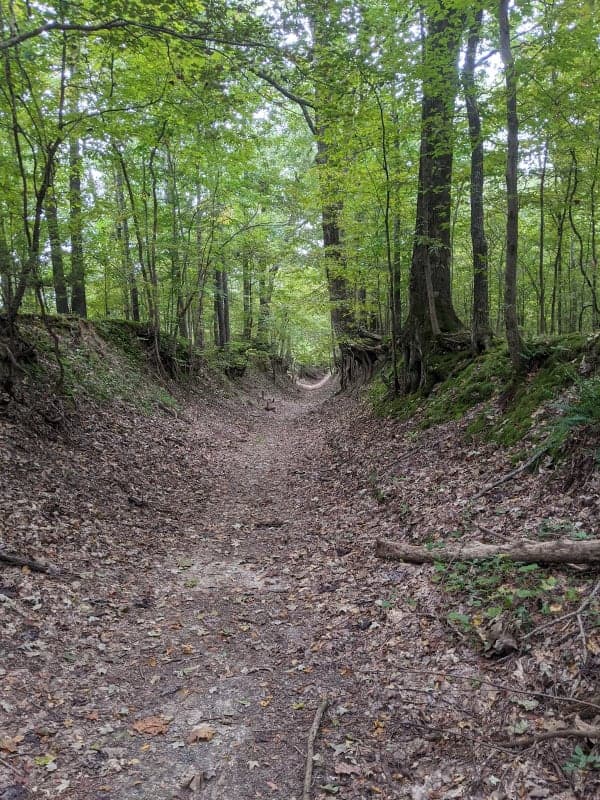 Village Creek State Park