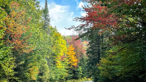Victory State Forest & Victory Basin Wildlife Management Area
