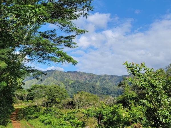 Wailua Game Management Area / Moalepe Trail