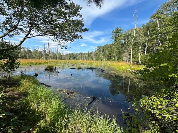 Wells State Park