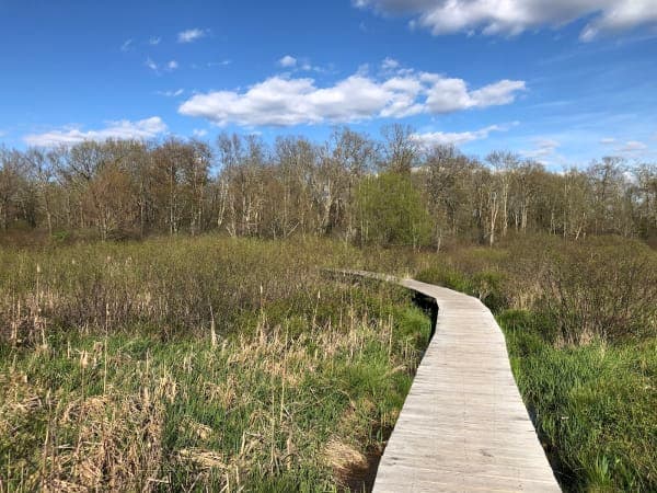 White Memorial Conservation Center