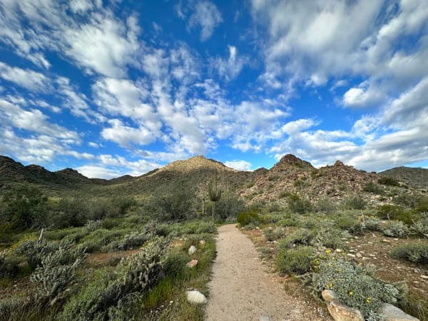 White Tank Mountain Regional Park