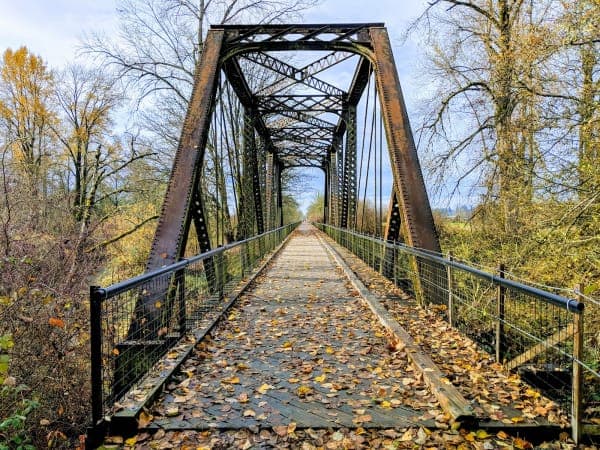 Willapa Hills State Park Trail