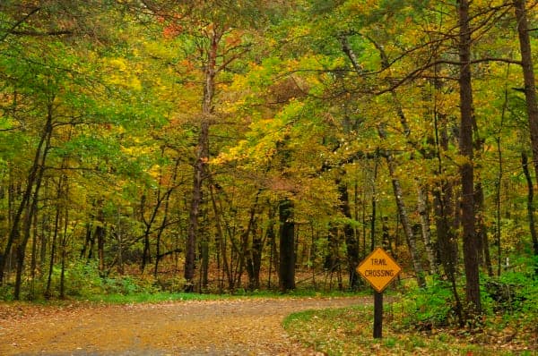 Wild River State Park