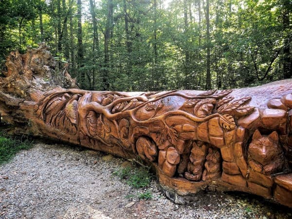William B. Umstead State Park – Crabtree Creek Access