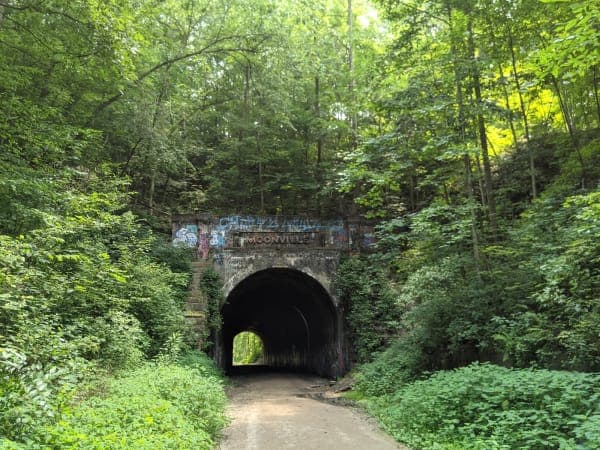 Zaleski State Forest