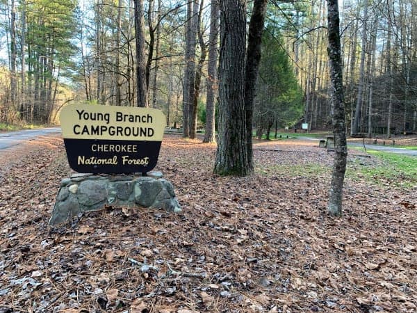Young Branch Campground & Little Citico Horse Trails