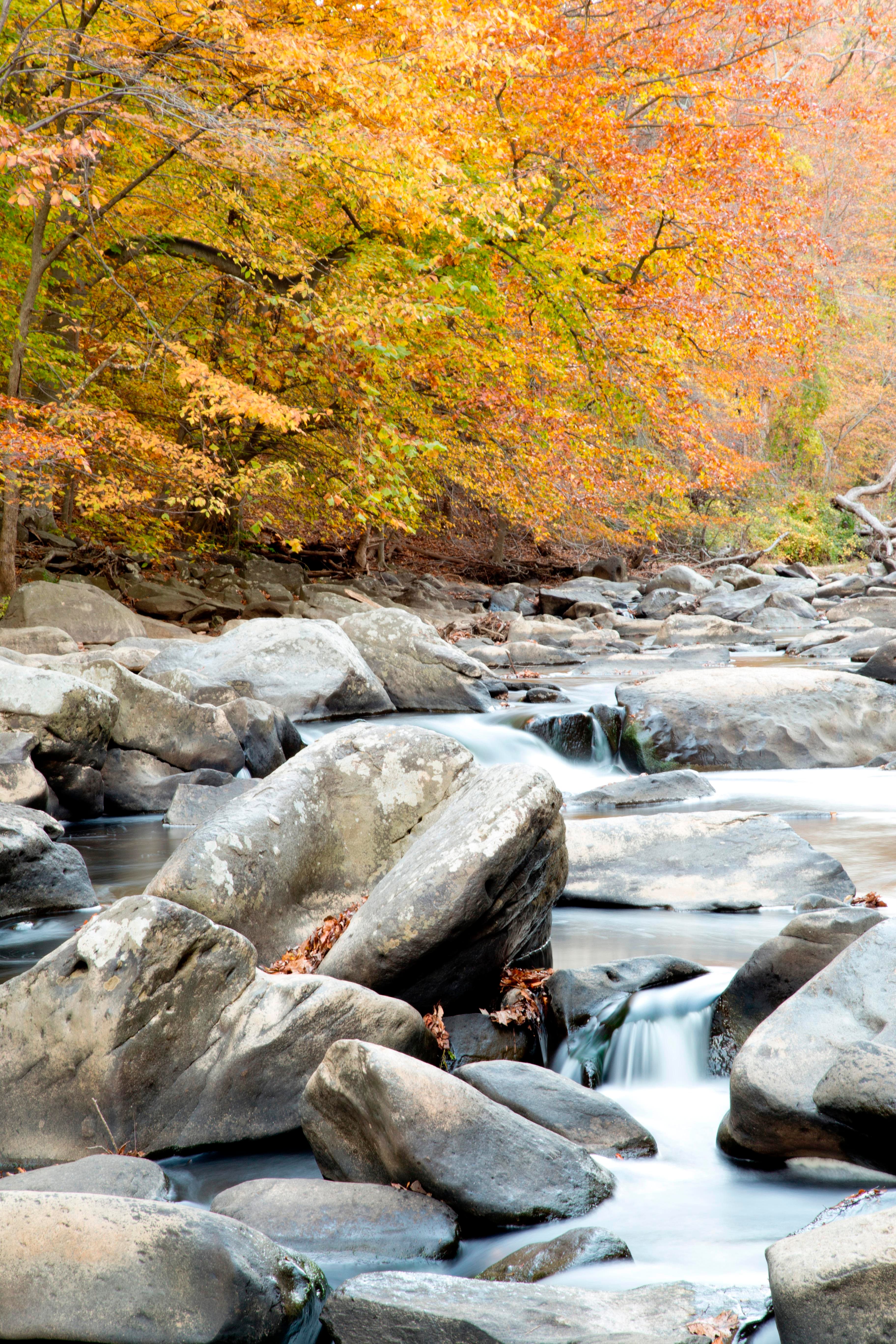 Water swirls around large boulders in a creek. Trees in autumn colors line the bank